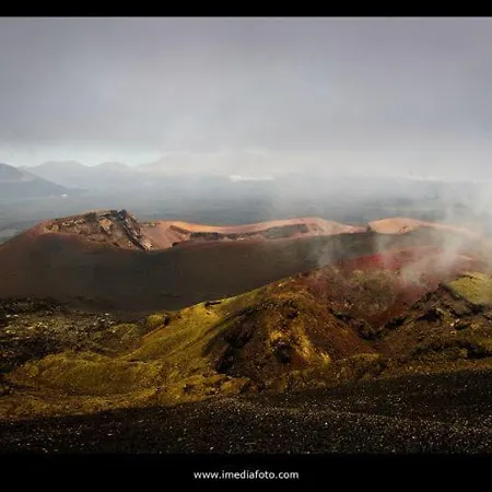 דירה The Colors House *