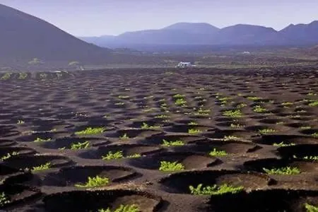 The Colors House דירה *