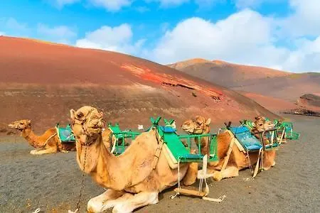 Διαμέρισμα The Colors House Costa Teguise